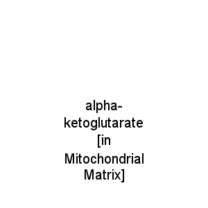 alpha-ketoglutarate [in Mitochondrial Matrix]
